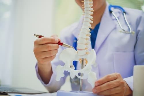 VeriSpine Joint Centers Stockbridge
